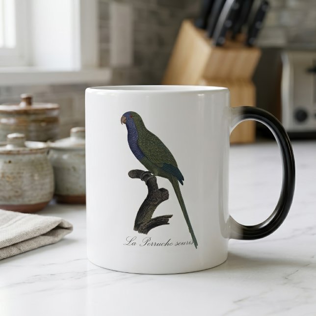 Mug Magic Perruche Moine, Myiopsitta Monachus (Monk Parakeet or Monk Parrot, Myiopsitta Monachus. Color Morph Mug)
