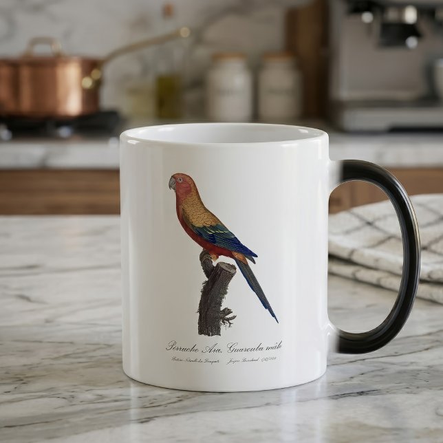 Mug Magic Perruche soleil mâle, Aratinga solstitialis (Sun Parakeet Male, Aratinga Solstitialis. Color Morph Mug)