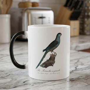 Mug Magic Perruche terrestre ou Perruche des marais, Pezopor