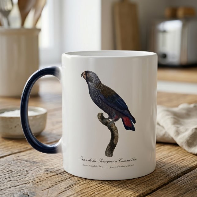 Mug Magic Pionus fuscus, ou Pion gris-perle ou Pionus sombre (Dusky Parrot or Dusky Pionus, Pionus fuscus. Color Morph Mug )