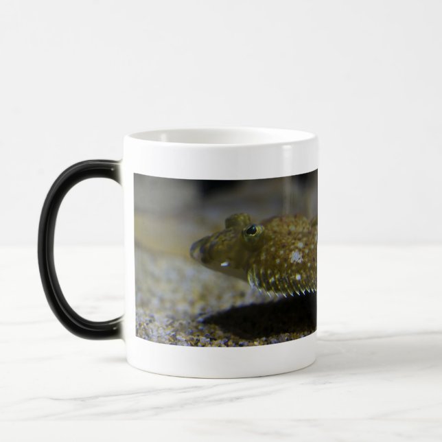 Mug Magic Poissons plats (Gauche)