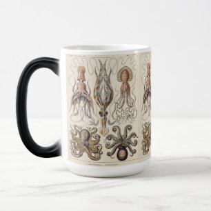 Mug Magic Poulpe Vintage Calmar Art par Ernst Haeckel