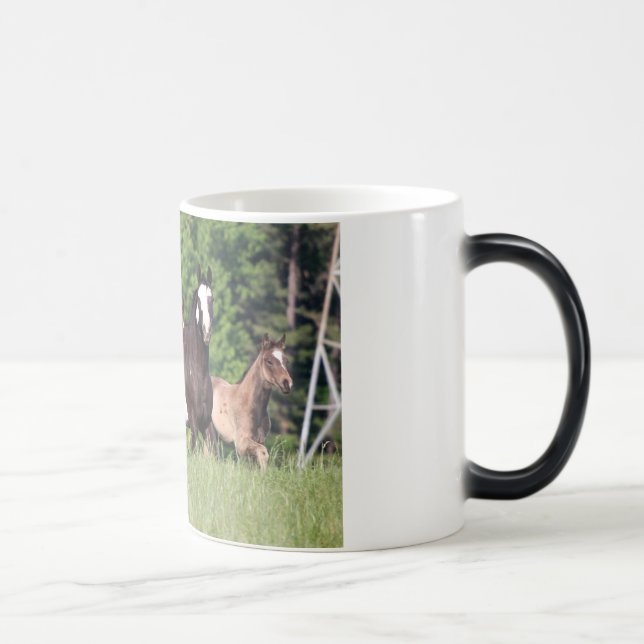 Mug Magic Quelques chevaux dans l'herbe verte (Droite)