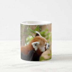 Mug Magic red-panda-035