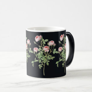Mug Magic Rose Rose Fleur Jardin Beauté