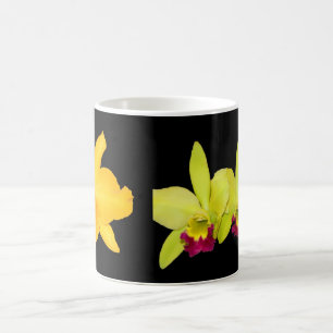 Mug Magic TASSE, Cattyleyas, deux variétés