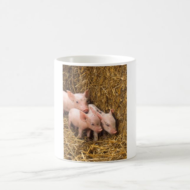 Mug Magic Trois petits cochons (Centre)