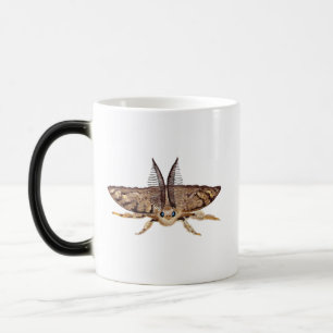 Mug Magic Tumée tzigane, Lymantria dispar Zoologique