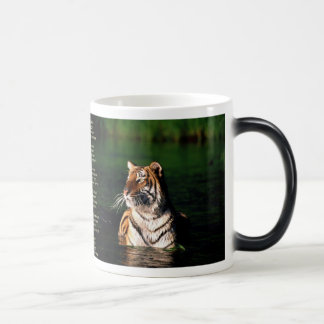 Mug Magic Tyger, Tyger
