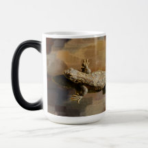 Un lézard de café