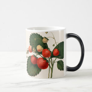 Mug Magic Vintage RedBoston Pine fraise