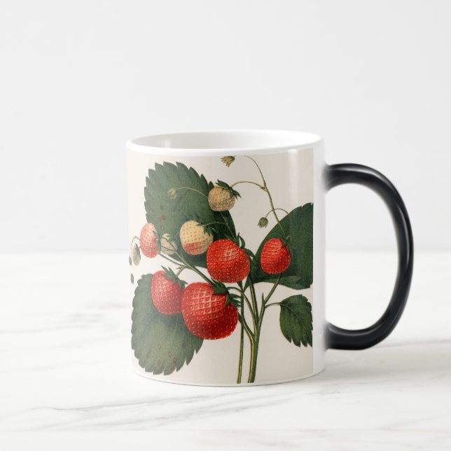 Mug Magic Vintage RedBoston Pine fraise (Droite)