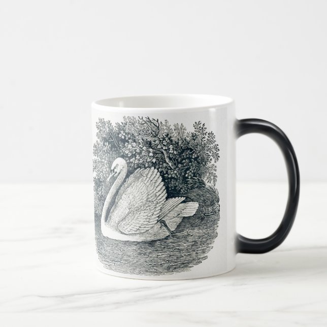 Mug Magic Vintage White Swan par Thomas Bewick (Droite)