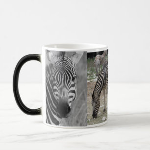 Mug Magic Zebra Safari Mignon Africain Élégant Rayures
