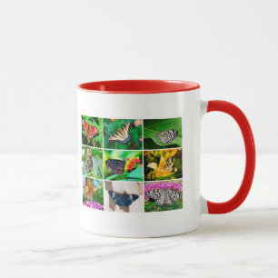 Mug Magnifique Papillons Collage, 9 Photos