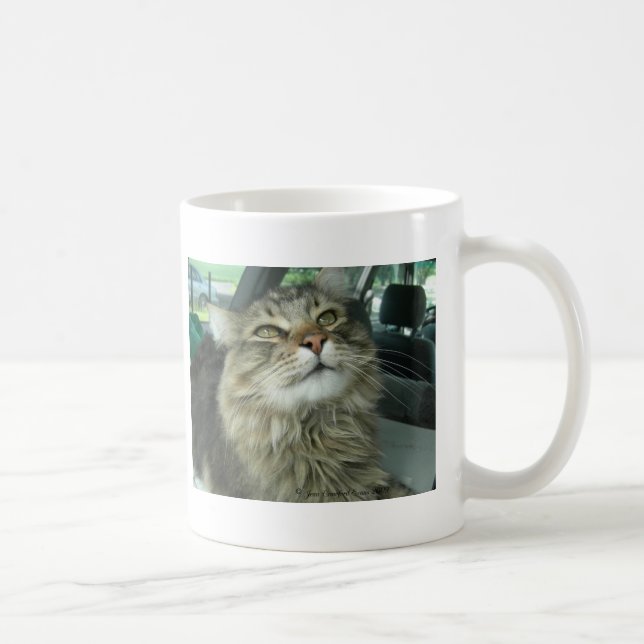 Mug Maine Coon kitty (Droite)