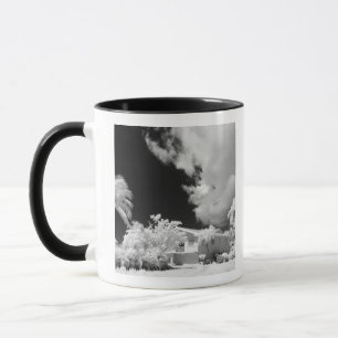 Mug Maison des Keys de Floride et ses palmiers, États-