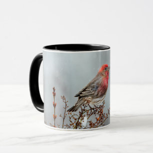 Mug Maison Finch en Neige - Photo originale