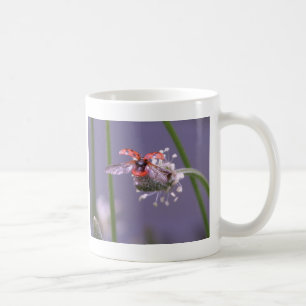 Mug Maison partie de mouche