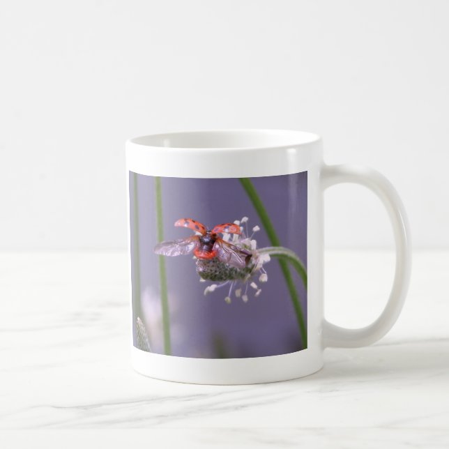 Mug Maison partie de mouche (Droite)