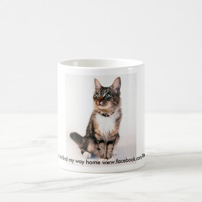 Mug Maiw (Centre)