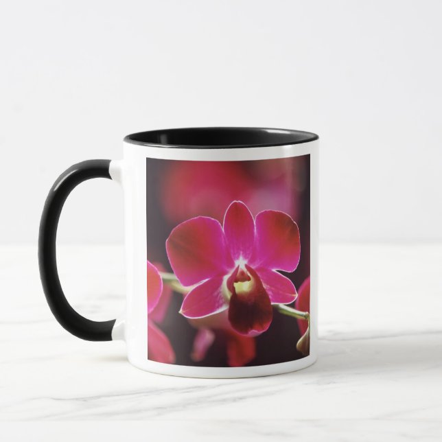 Mug Malaisie, Orchidée (Gauche)