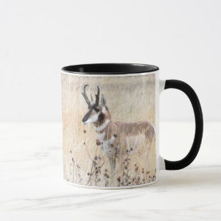 Mug Mâle d'antilope de Pronghorn dans le domaine du