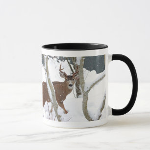 Mug Mâle de cerfs communs dans la neige en hiver