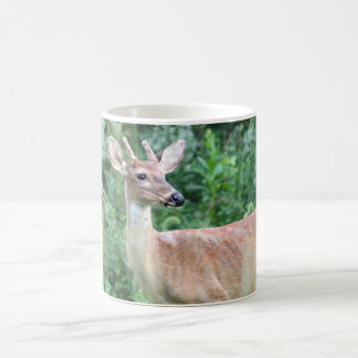 Mug Mâle de Whitetail
