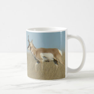 Mug Mâles d'Antilocapre A44