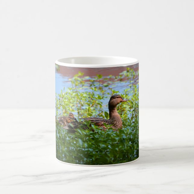 Mug Mallard et canettes-Natation par Shirley Taylor (Centre)