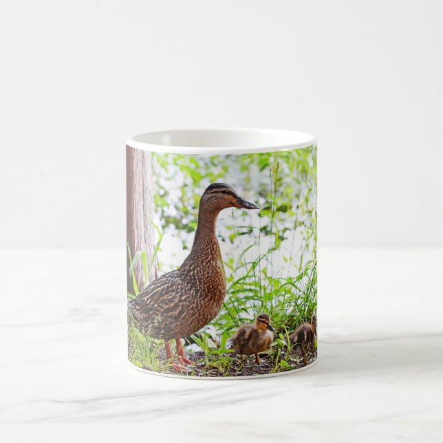 Mug Mallard et Ducklings par Shirley Taylor (Centre)