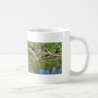 Mug Mallard sur Pond