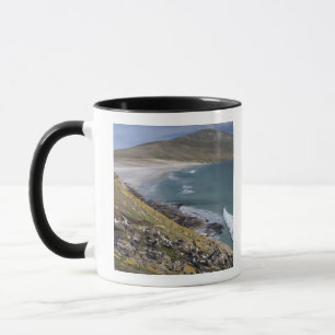 Mug Malouines, Falkland Ouest, Saunders