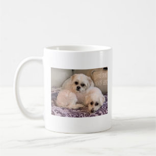 Mug Maltais mignon et Shih Tzu de photo de chiens