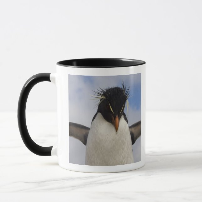 Mug Manchot de Hopkins Eudyptes chrysocome (Gauche)