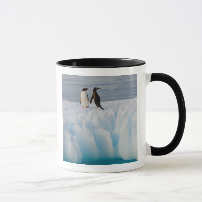 Mug manchot papou, Pygoscelis Papua, sur la glace glac (Droite)