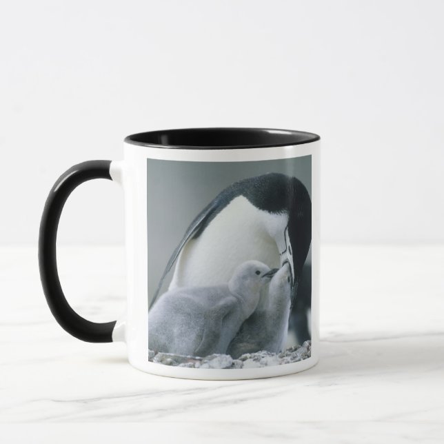Mug Manchots à collier, Pygoscelis antarctica), (Gauche)