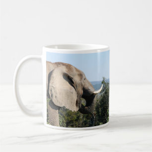 Mug Manger des éléphants sauvages, Afrique du Sud