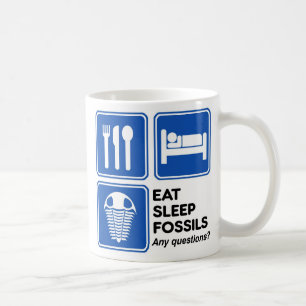 MUG MANGER, DORMIR, FOSSILES