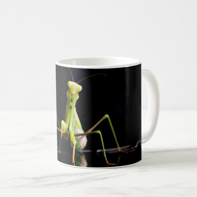 Mug Mante priante (Devant droit)