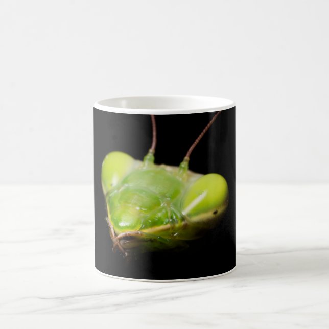 Mug Mante priante (Centre)