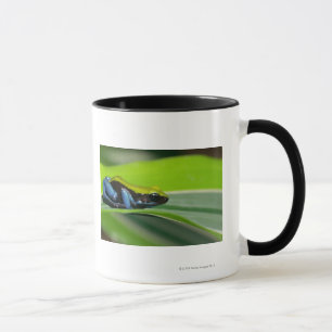 Mug mantella Vert-soutenu