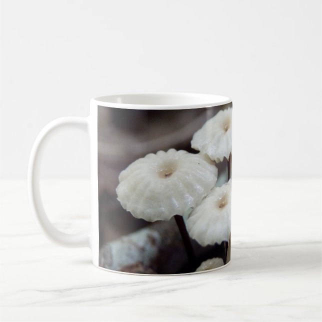 Mug Marasmius rotula Musique (Gauche)