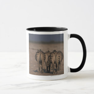 Mug Marche des zèbres de Burchell