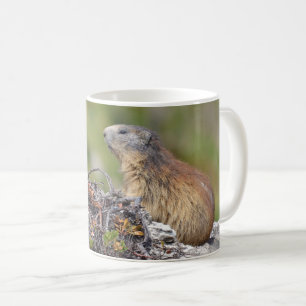 Mug Marmotte alpine sur roche
