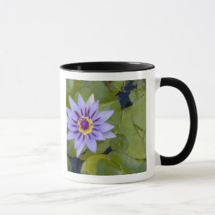 Mug Martinique, Antilles, Antilles, Antilles, Bleu