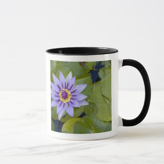 Mug Martinique, Antilles, Antilles, Antilles, Bleu (Droite)