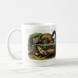 Mug Martre des pins (Mustela Martes) Martre américaine