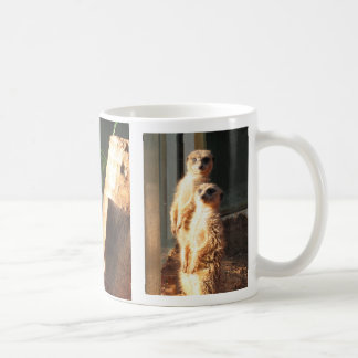 Mug Matin de Meerkat